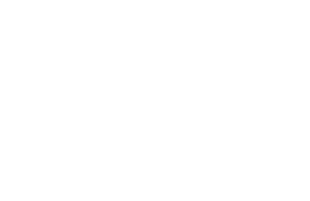 The Lake Brand
